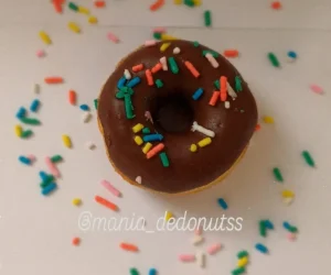 Mania de Donuts Fotos (4)